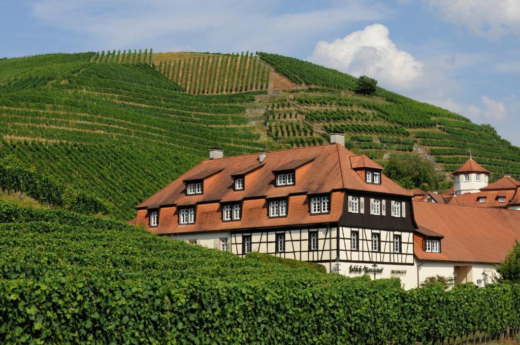 ホテルRottele'S Restaurant & Residenz バーデン＝バーデン エクステリア 写真